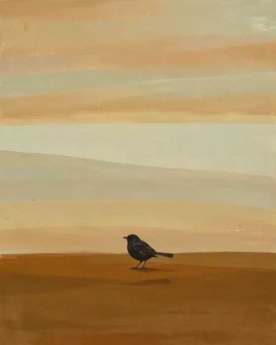Hazy Horizon