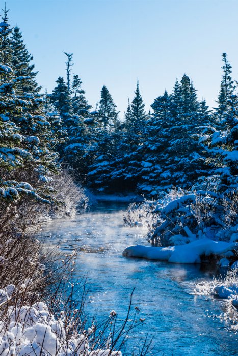 Winter Calm - Newfoundland art print