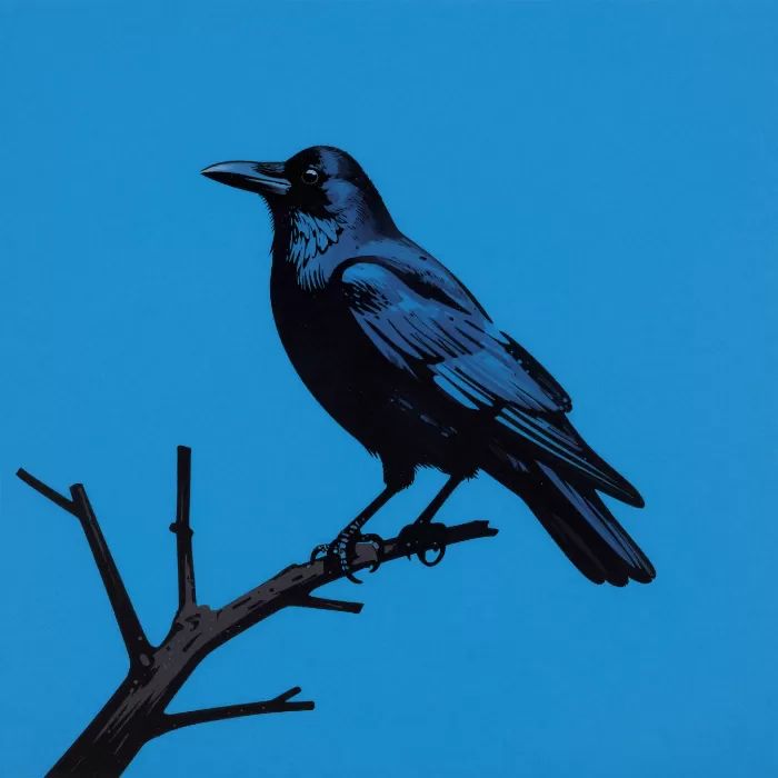 Electric Crow