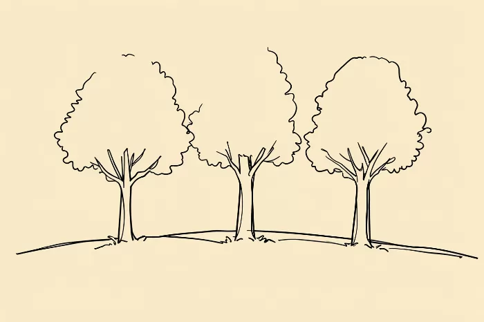 Meadow Trees