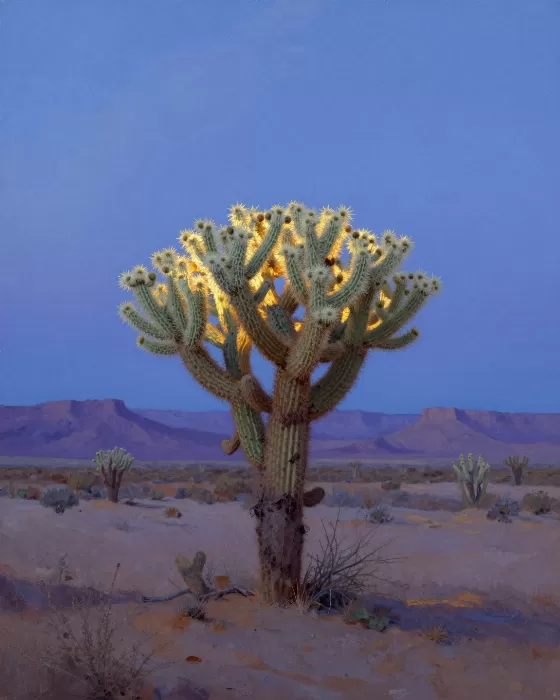 Desert Halo