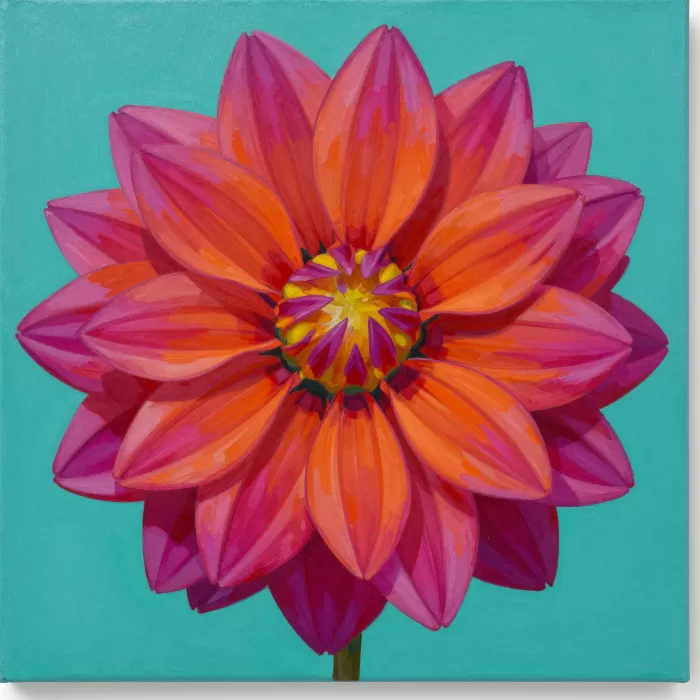 Dahlia Bold