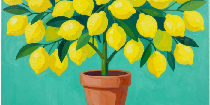 Teal Lemon