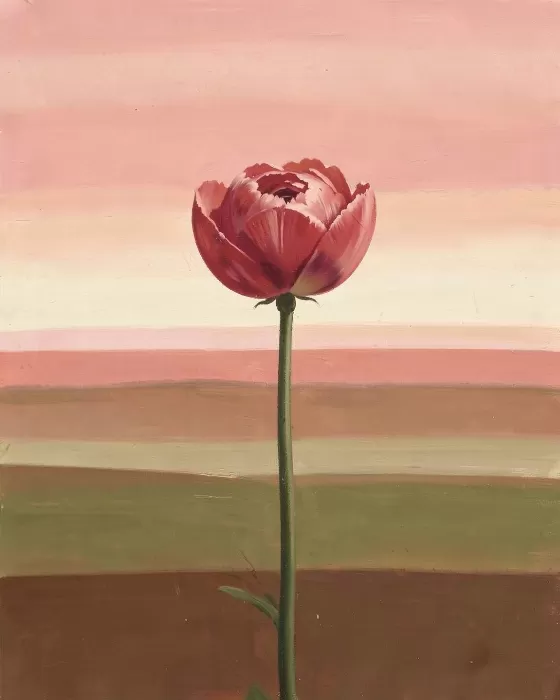 Peony Field