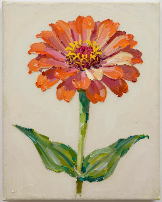 Impasto Zinnia