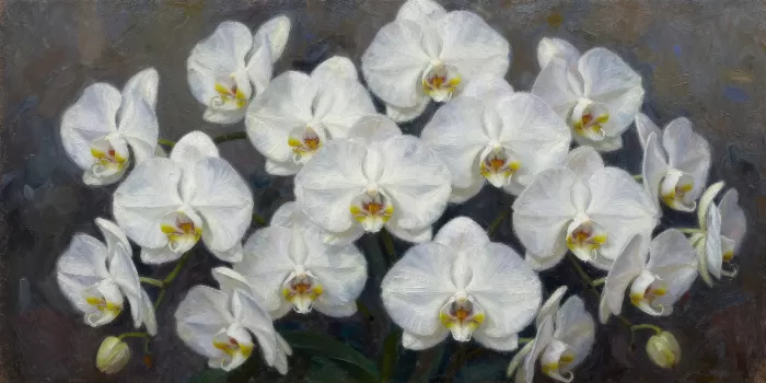 Luminous Orchids