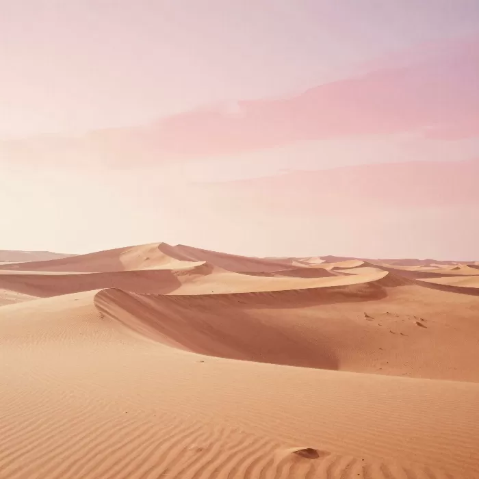Dunes At Dawn