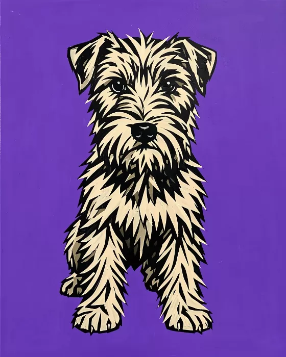 Terrier Bold