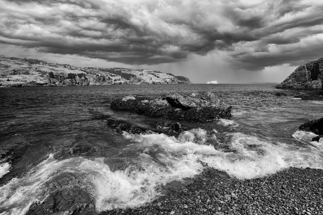 Gallows Cove Iceberg BW - Newfoundland art print