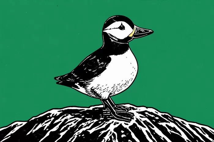 Sea Green Puffin