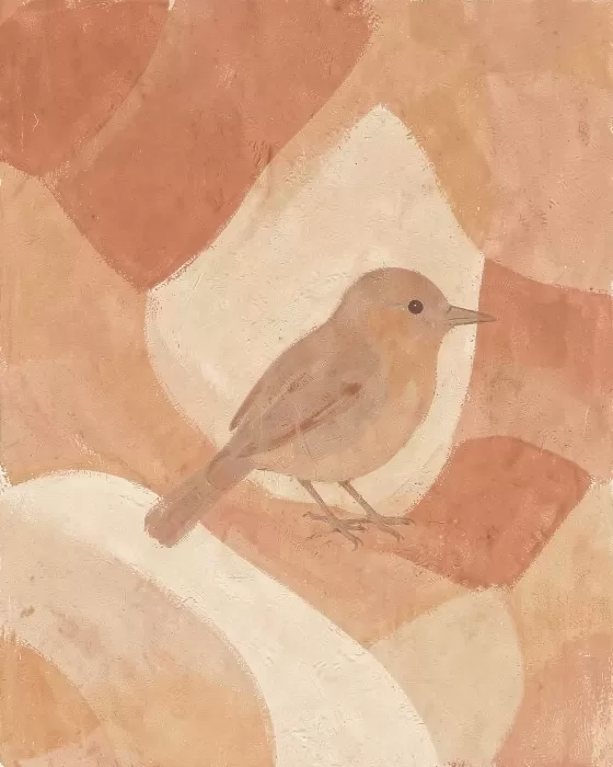 Robin Warmth