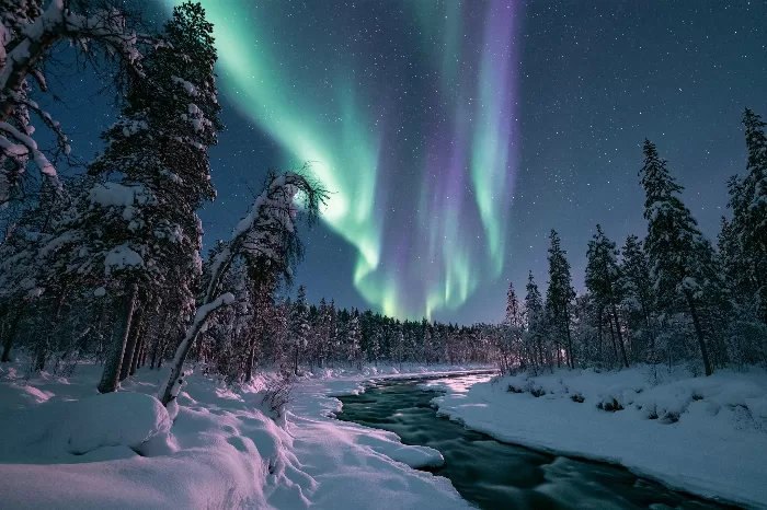 Arctic Night