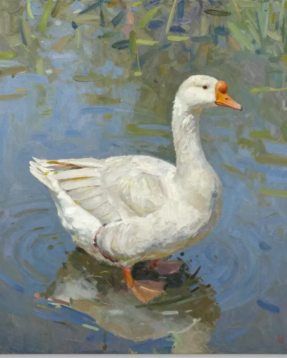 Quiet Waterfowl