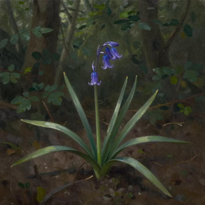 Bluebell Shaft