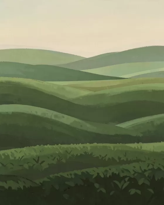 Ceylon Hills