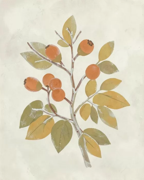 Rosehip Branch