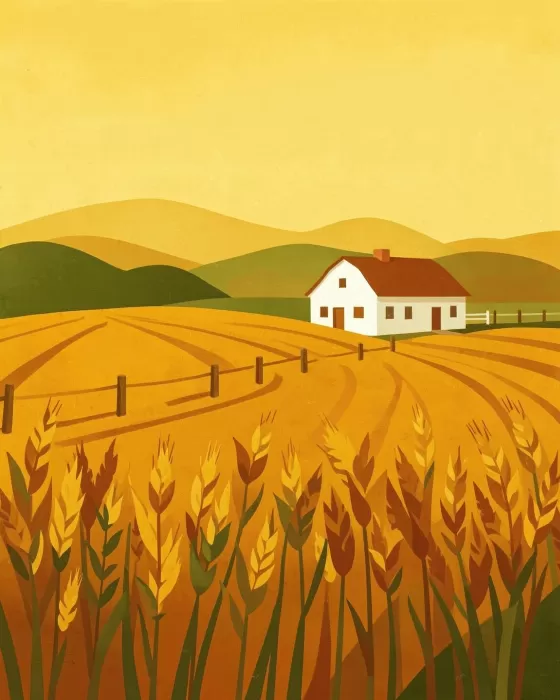 Mustard Farm