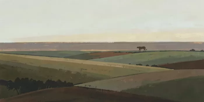 Silent Plains