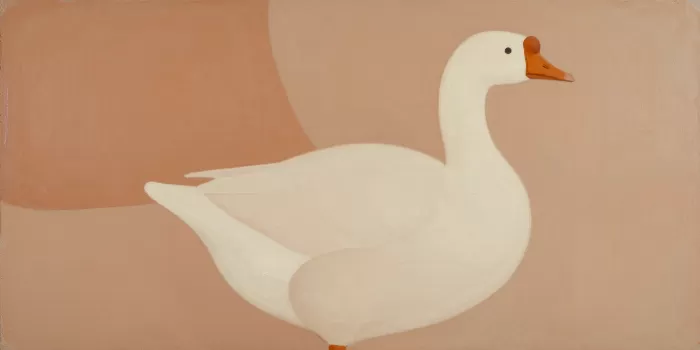 Terracotta Goose