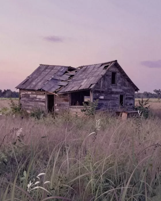 Purple Farmstead