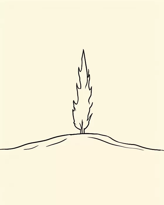 Slender Cypress
