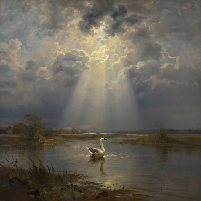 Marsh Rising