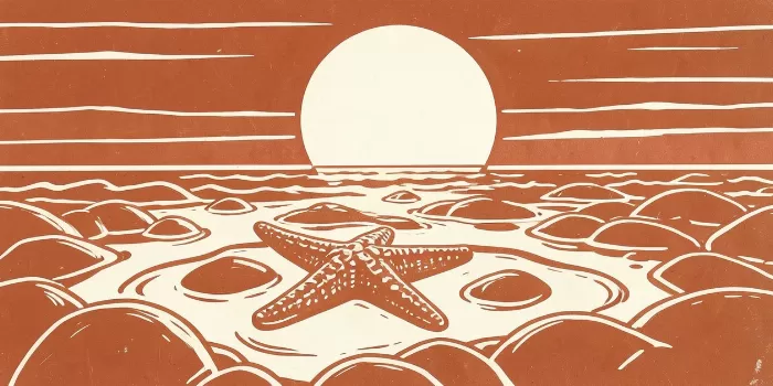 Sunset Pool