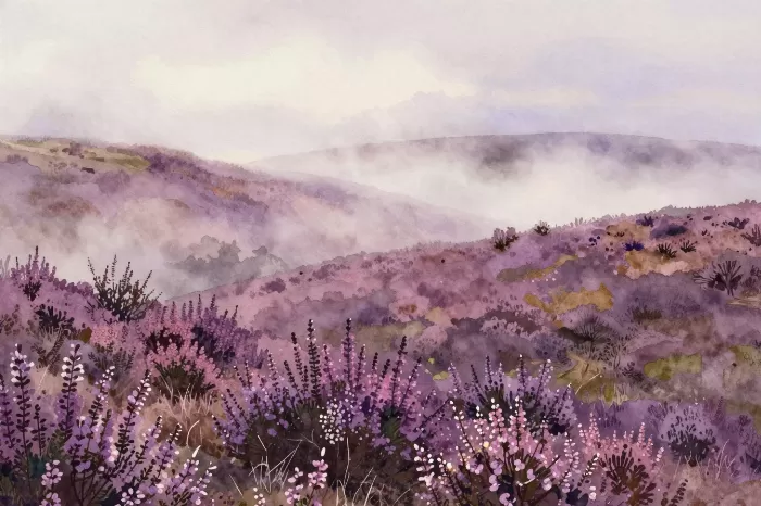 Misty Ridgeline