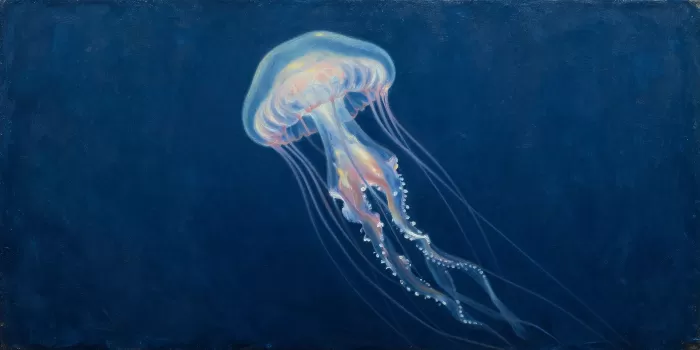 Bioluminescence