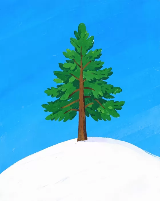 Snow Solitude