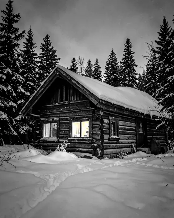 Twilight Refuge