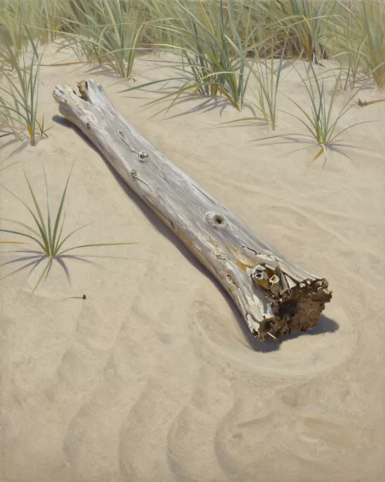 Weathered Driftwood