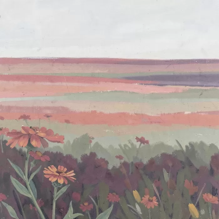 Zinnia Field