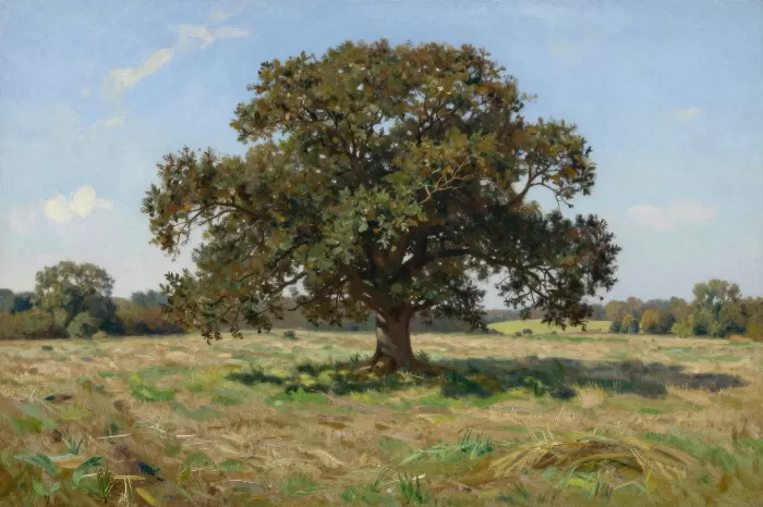 Oak Meadow