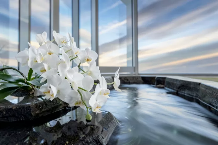 Orchid Current