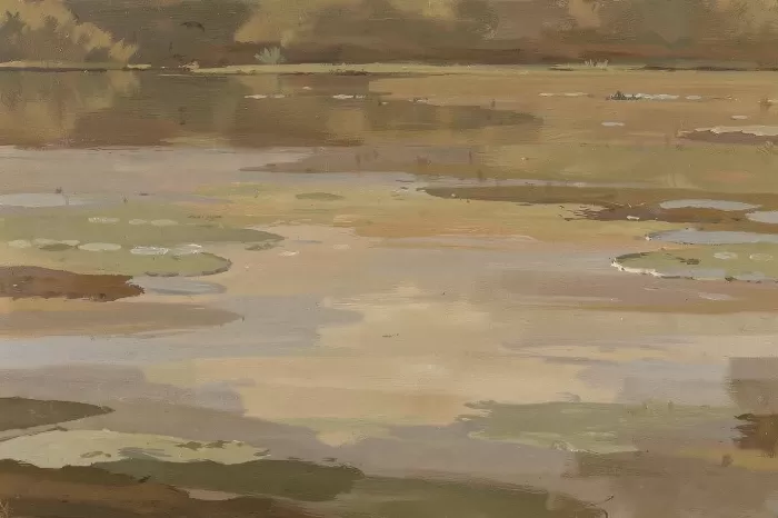 Lily Shallows