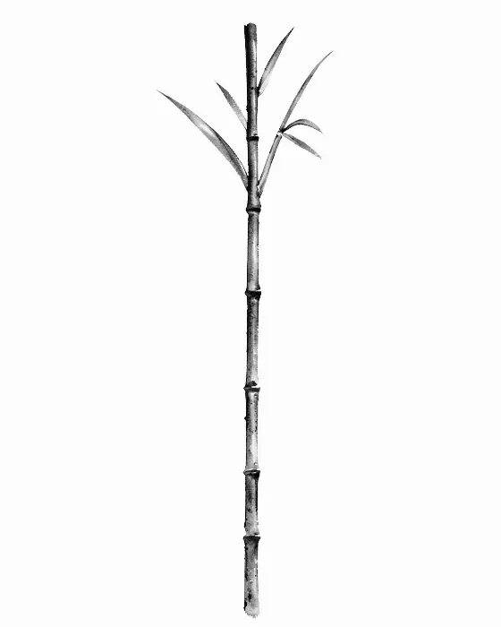 Silent Stalk