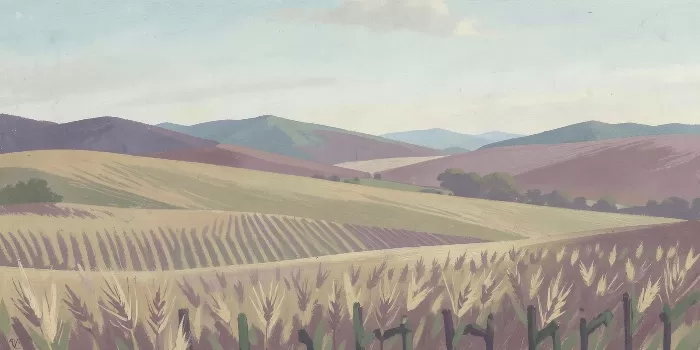 Hill Horizon