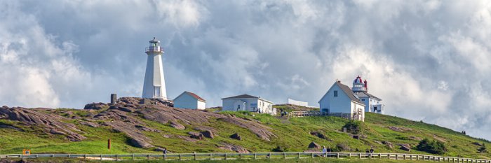 Sunday Stroll - Newfoundland art print