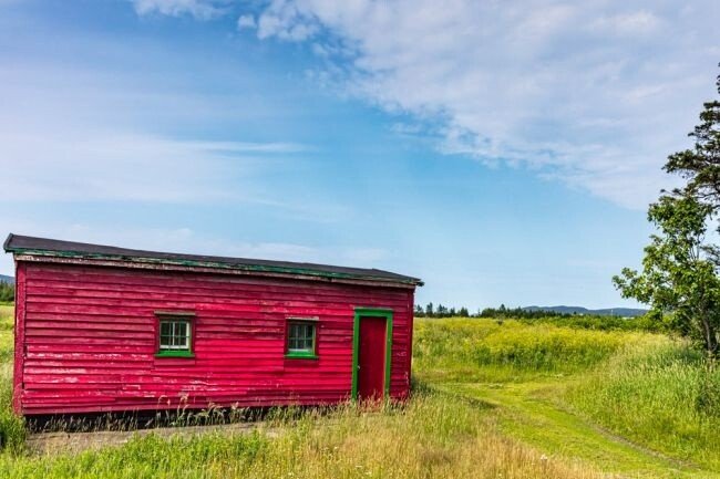 Farm County - Newfoundland art print