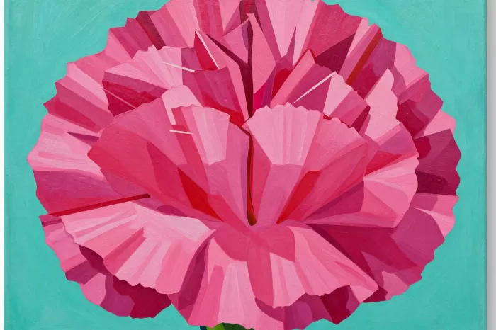 Magenta Carnation