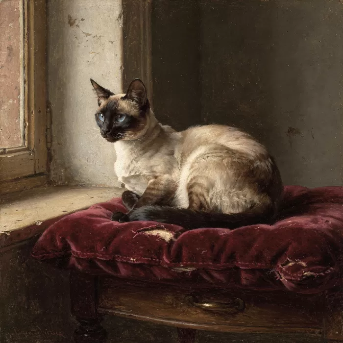 Window Siamese