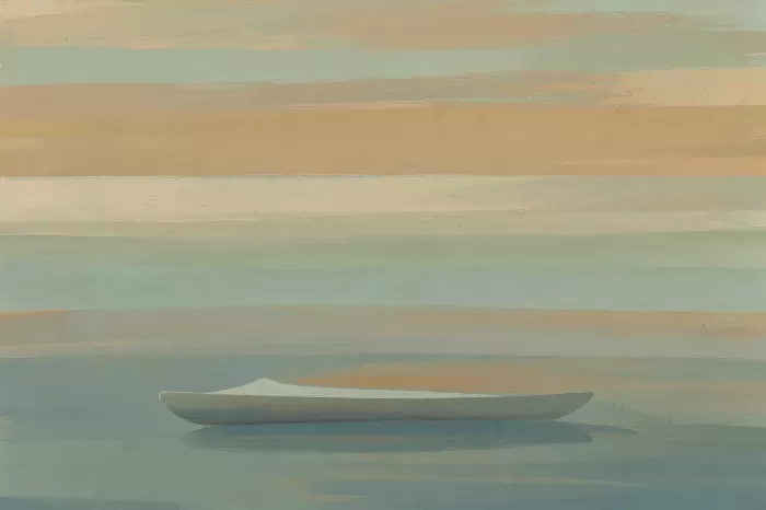 Soft Currents