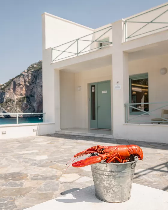 Lobster Noon