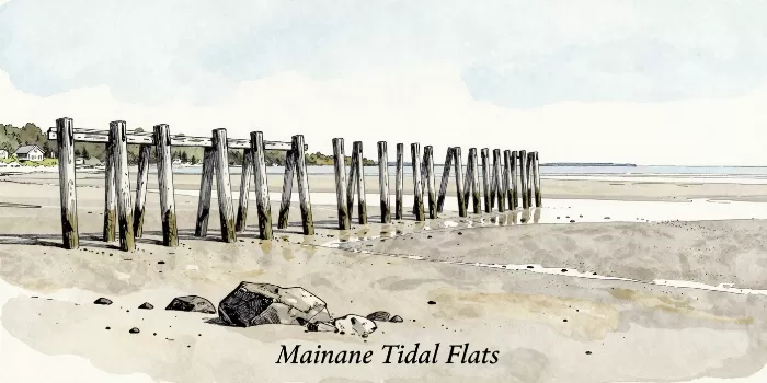 Maine Shore