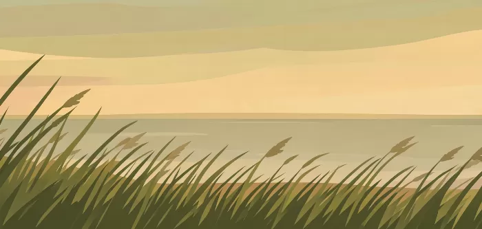 Retro Dunes