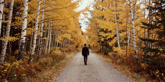Larch Path