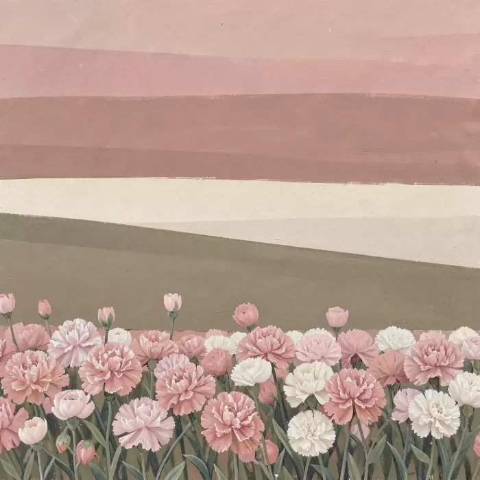 Carnation Bands