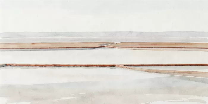 Salt Flats