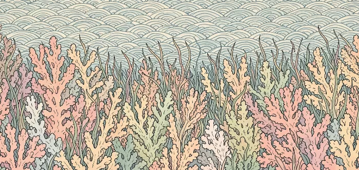 Ocean Weave